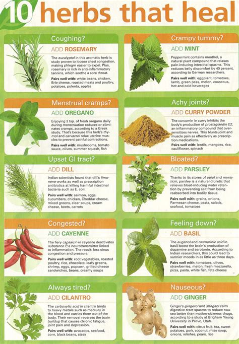 10 Herbs that heal - The Prepared Page