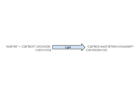 Chemical Equation For Photosynthesis In Symbols And Words - Tessshebaylo