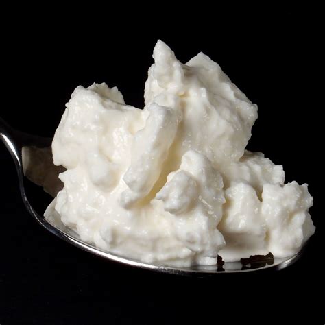 Quark (German-stye curd-cheese) | Bali on Demand