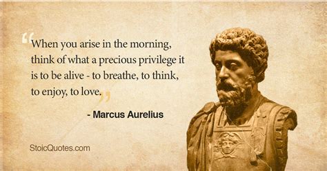 Marcus Aurelius Quotes: 19+ Best Quotes from the Emperor