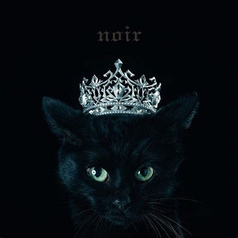 Aimer - BEST SELECTION "noir" Lyrics and Tracklist | Genius