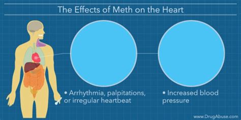 Effects of Meth on the Body | What Does Meth Do to Your Body?