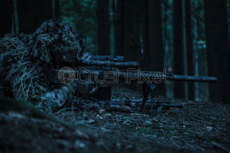 Army rangers sniper pair - stock photo 1744367 | Crushpixel