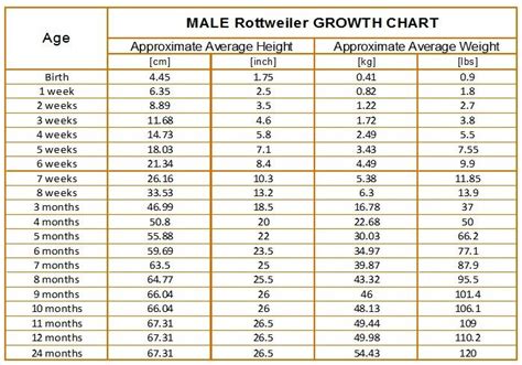 rottweiler puppy food chart - Delta Sibley