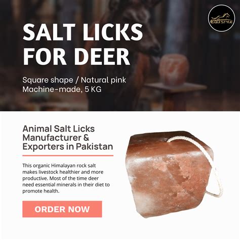 Salt Licks For Deer Mineral Blocks Large 5kg | Equi Style