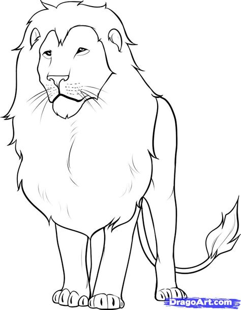 lion picture for coloring - Clip Art Library