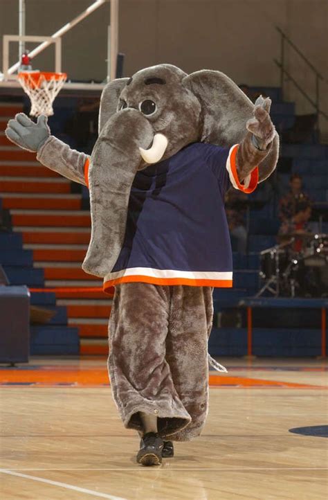 Cal State Fullerton Titans mascot, Tuffy the Titan. | College Mascots ...