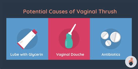 Cause Of Candidiasis | vlr.eng.br