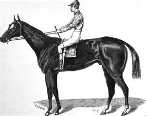 The First Kentucky Derby, Unhorsed by the Louisville Cup - Turf History ...