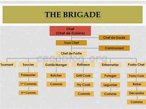 Unique 45 of Kitchen Brigade System Chart | ucfwomensstudies