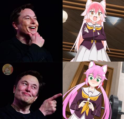 Elon musk interesting in the new cat girl : wholesomeanimemes