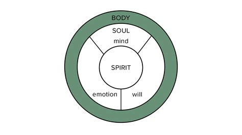 Renewing Your Mind: Spirit-Soul-Body Connection – Lizby Warren