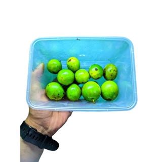 Jual Buah Jatake Gandaria 250gr | Shopee Indonesia