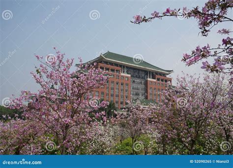 South China Agricultural University Stock Image - Image of china, festival: 52090265