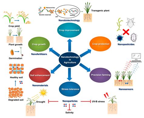 Molecules | Free Full-Text | Applications of Nanotechnology in Plant ...