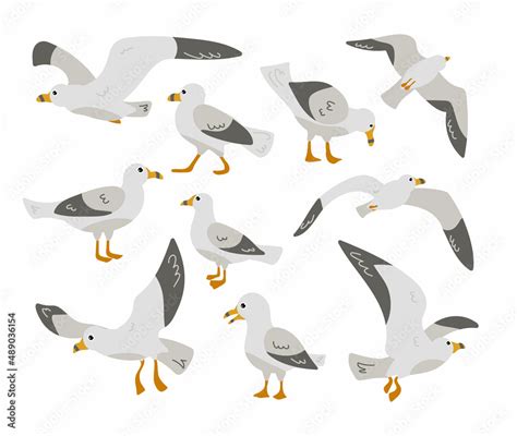 Seagull cartoon character flat vector illustrations set. Cute comic ...