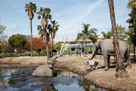 La Brea Tar Pits and Museum Admission Ticket in Los Angeles 2024