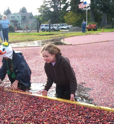 Mary's Milk Monsters: Visiting a Cranberry Farm