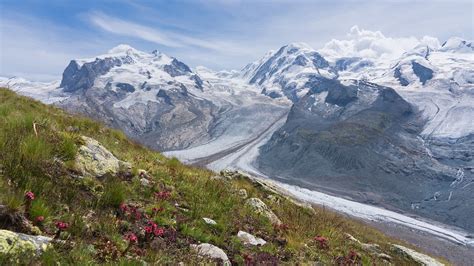 Monte Rosa Massif Görner Glacier - Free photo on Pixabay - Pixabay