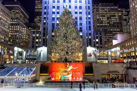 It's Here! Rockefeller Center's Christmas Tree is Officially Chosen for ...