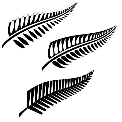 Silver Fern Drawing at PaintingValley.com | Explore collection of Silver Fern Drawing