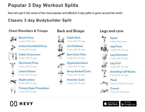 3 day split workout popular in 2022 | Workout splits, Back and biceps ...