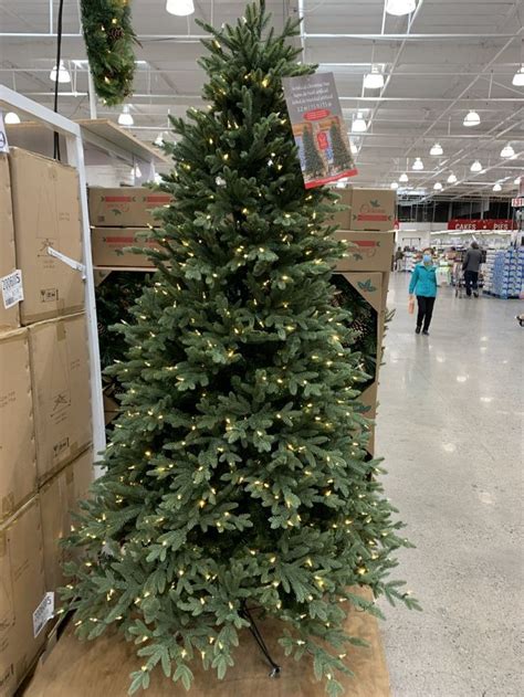 a christmas tree is on display in a store