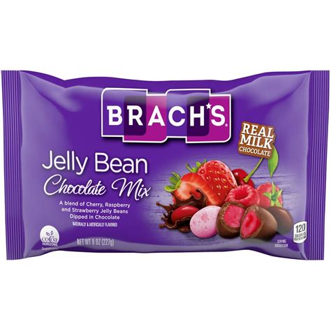 Brach's Jelly Bean Chocolate Mix - 8-oz. Bag