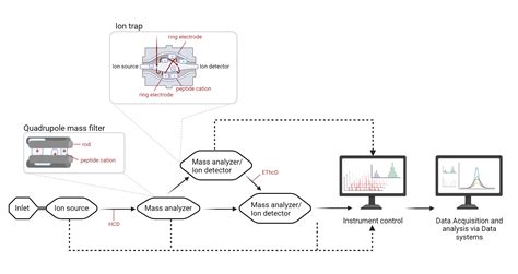 What is Protein Mass Spectrometry? - Rapid Novor