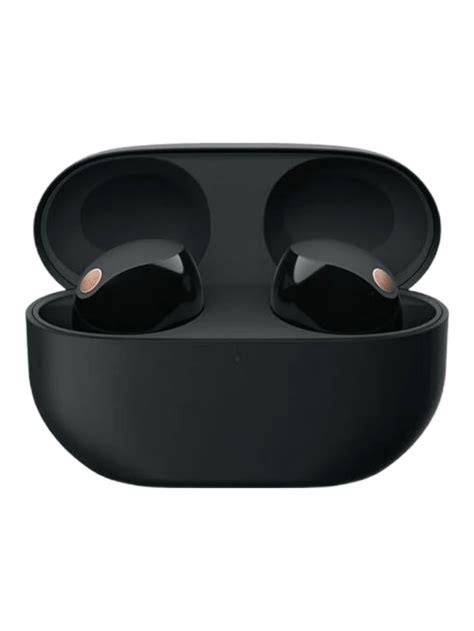 Sony Sony WF-1000XM5 Wf Xm5, Truly Wireless Noise Cancelling Earbuds ...