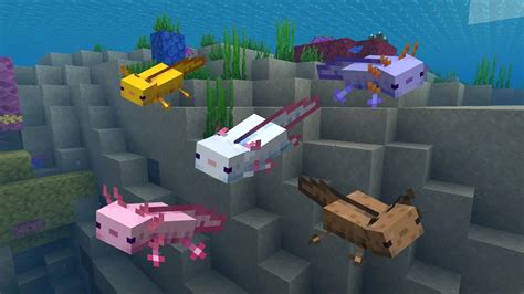 Minecraft: All Axolotl Color Variants - Gamepur