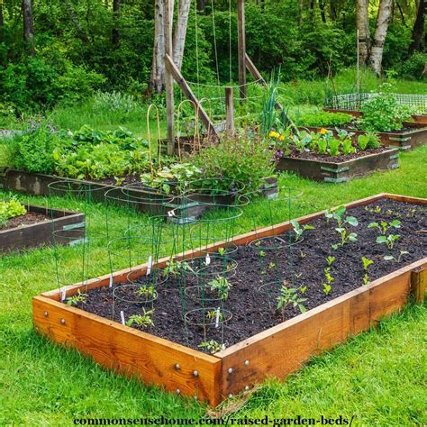 How To Raised Garden Beds