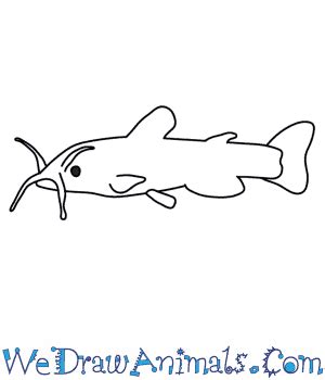 Catfish Drawing