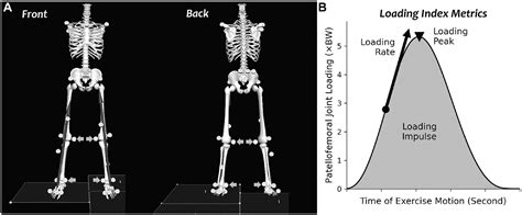 Patellofemoral Joint Loading Progression Across 35 Weightbearing ...