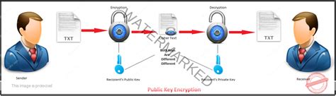 RSA Algorithm in C and C++ (Encryption and Decryption) - Just Tech Review