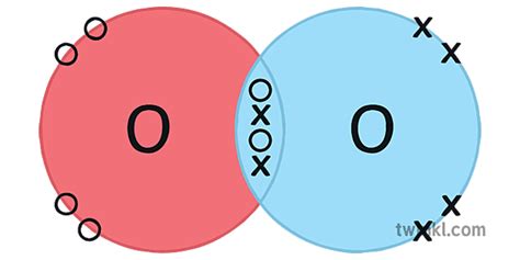 o2 oksijeni covalent bonding dot cross diagram science ks4 Ilustración