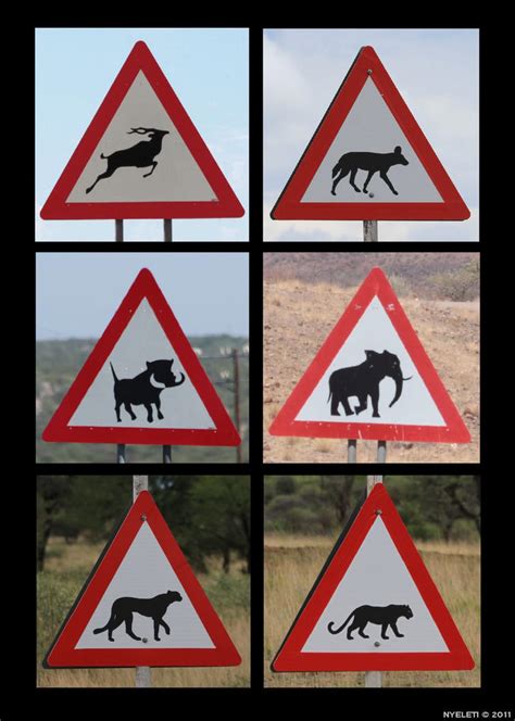 Namibia Road Signs by Nyeleti on DeviantArt