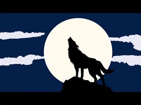 Wolf howling : r/wolves