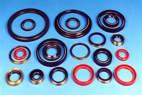 Oil Seals,Oil Seal Manufacturer,Large Diameter Seals