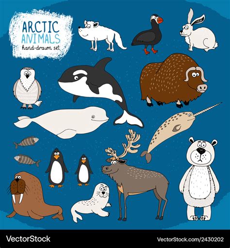 Arctic Animals Svg