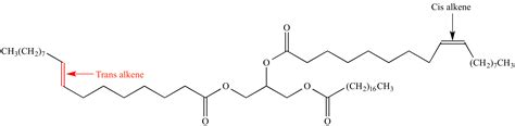 Illustrated Glossary of Organic Chemistry - Trans fat