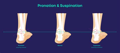 Difference Between Pronation And Supination