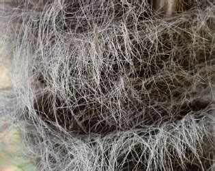 What Is Baler Twine? - Winchcombe Daycare Centre