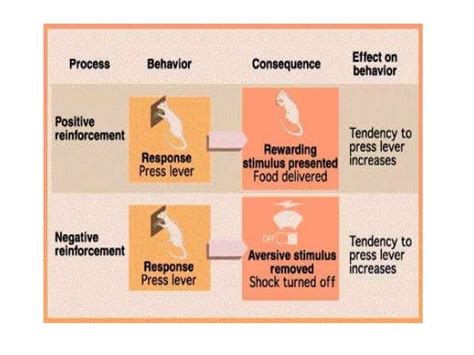 Skinner operant conditioning