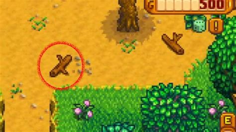 stardew valley hardwood - All Hardwood Farming Places in stardew valley