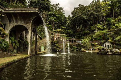 The Most Beautiful Botanical Gardens in Madeira | Places To See In Your ...