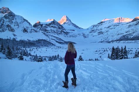 I just did a digitial detox at Assiniboine Lodge. Here's what happened....