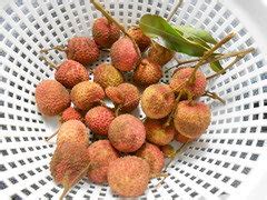 Mauritius Lychee