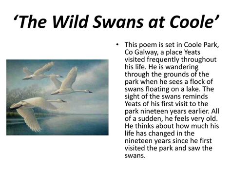 PPT - ‘The Wild Swans at Coole ’ PowerPoint Presentation, free download - ID:2330209