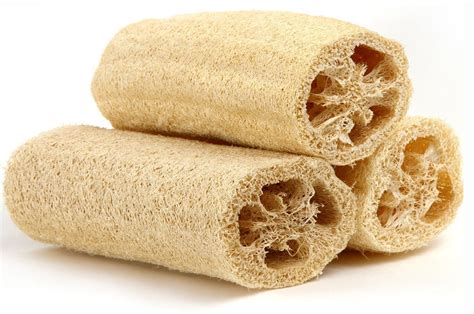 HEIRLOOM NON GMO Luffa Gourd/Sponge 15 seeds | Loofah sponge, Natural ...